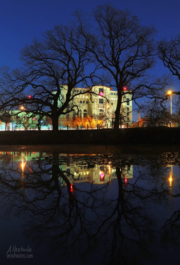 Bobcat Stadium at Night