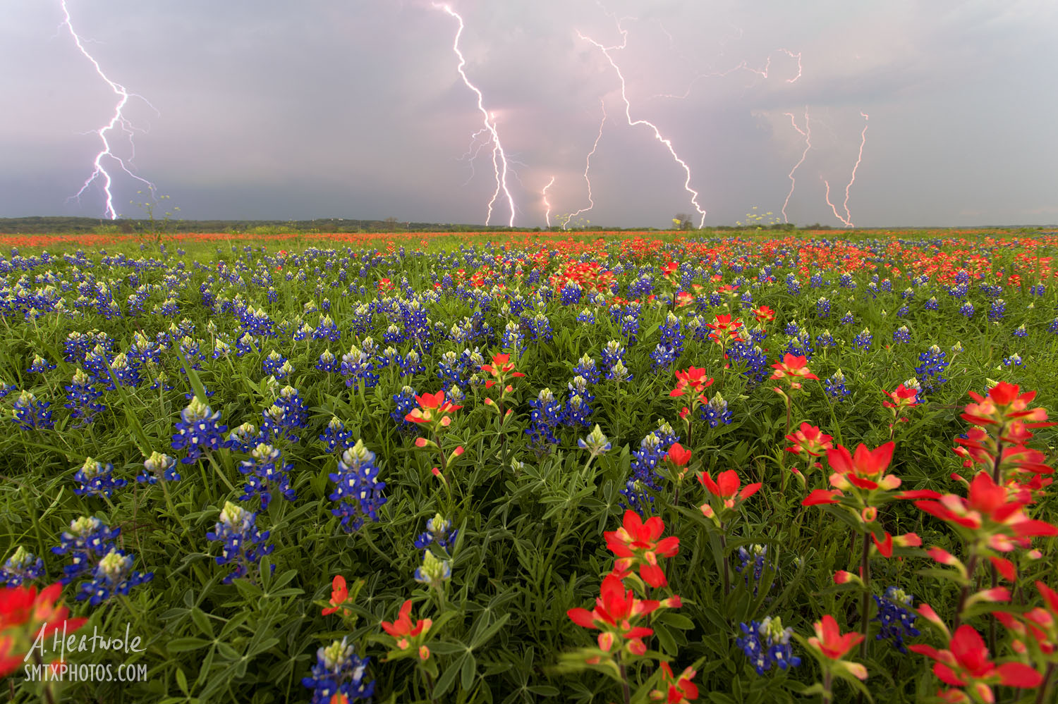 Texas Storms