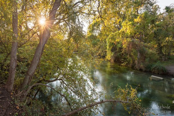 Golden Hour On The San Marcos River