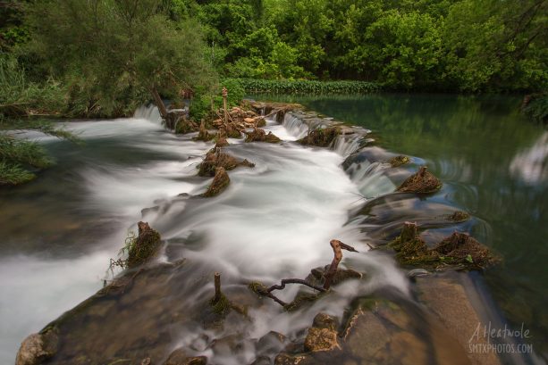 Spring at Cape's Dam